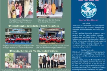 c2s_newsletter_1